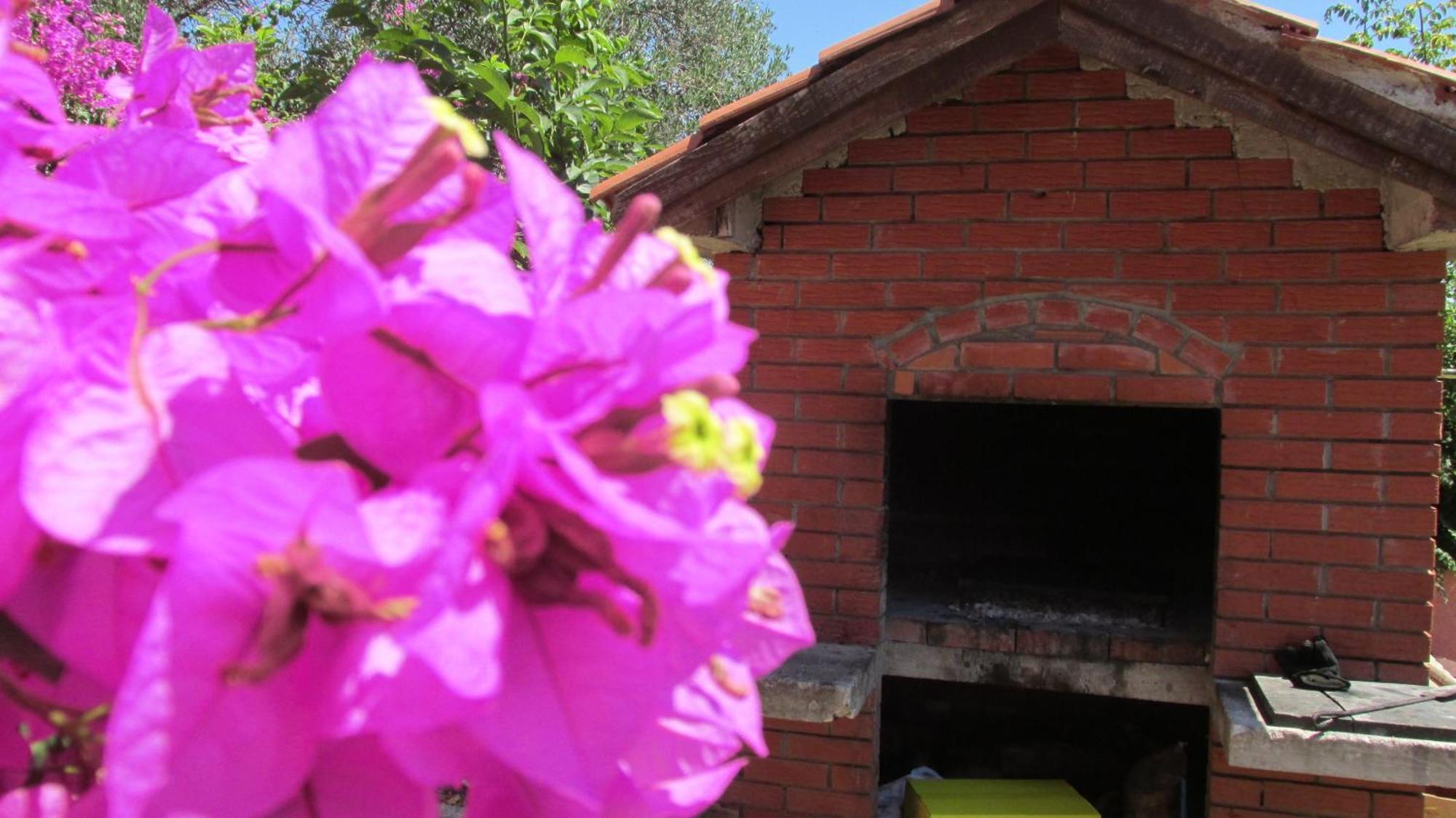 Apartmani Carmen Bibinje Szoba fotó